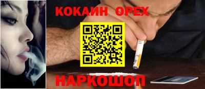 шишки Тулун