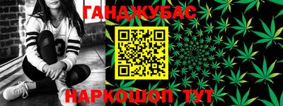 шишки Тулун
