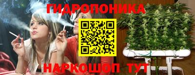 шишки Тулун