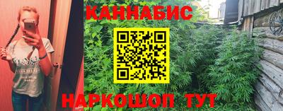 шишки Тула