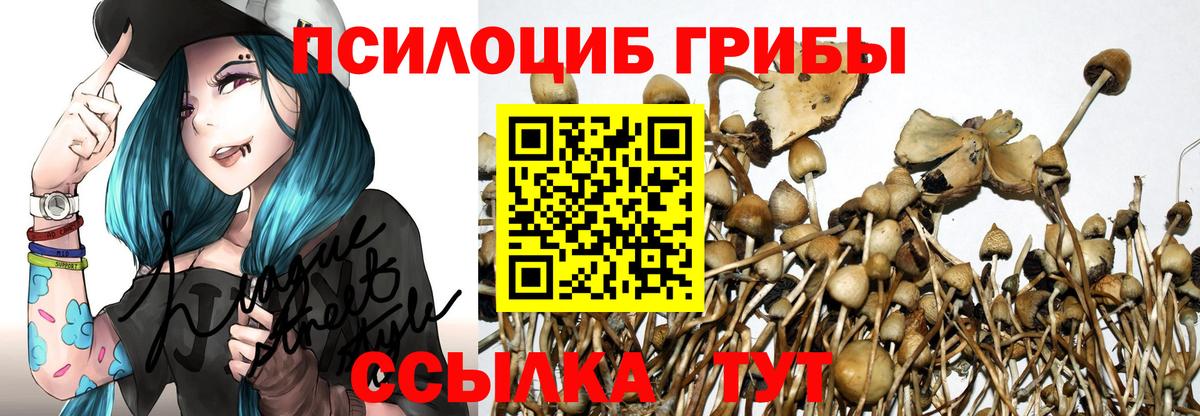 Псилоцибиновые грибы прущие грибы  Псилоцибиновые грибы Psilocybine cubensis  Вход с VPN  Грязи 